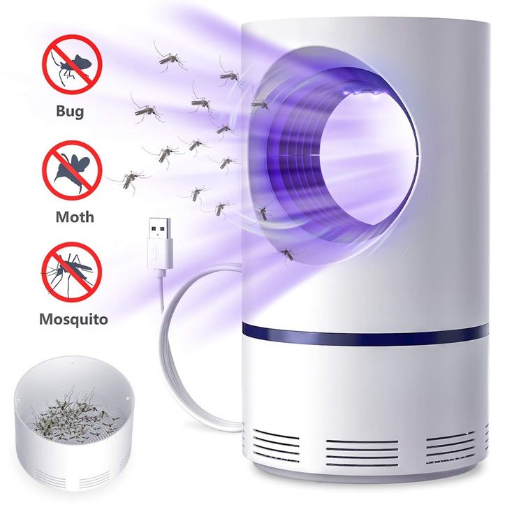 Bluehole Mosquito Lamp heavy Quality